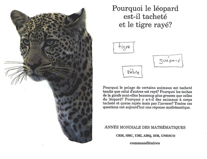 La question pas si bête : pourquoi des léopards sur le drapeau de Normandie  ?